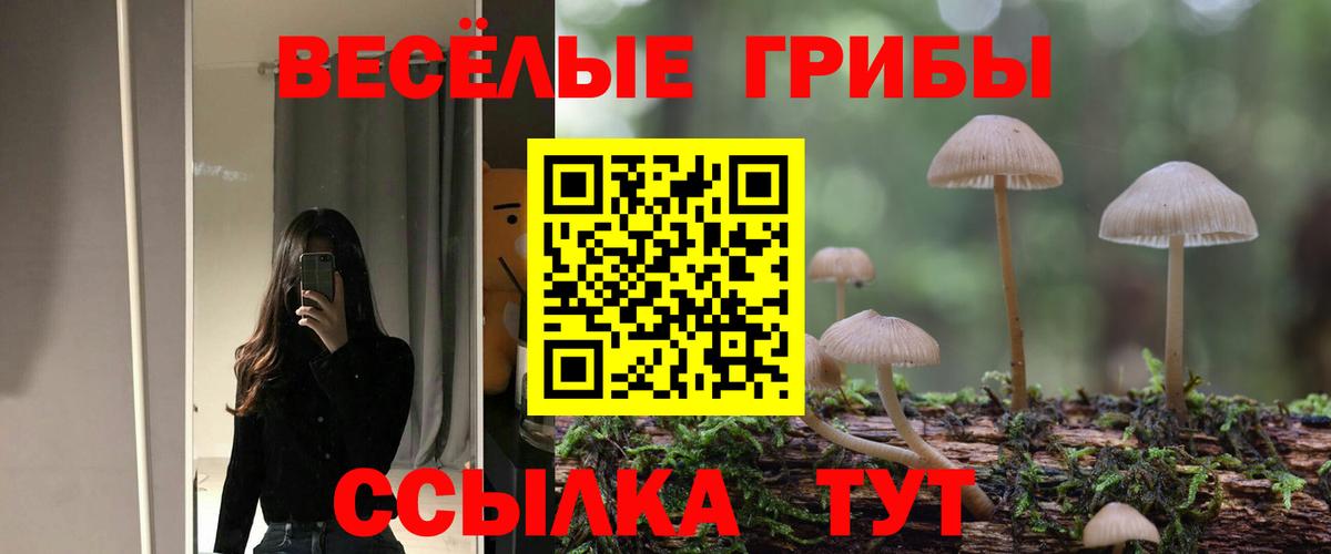 Псилоцибиновые грибы GOLDEN TEACHER  Вход с VPN  Анжеро-Судженск  Псилоцибиновые грибы Cubensis 